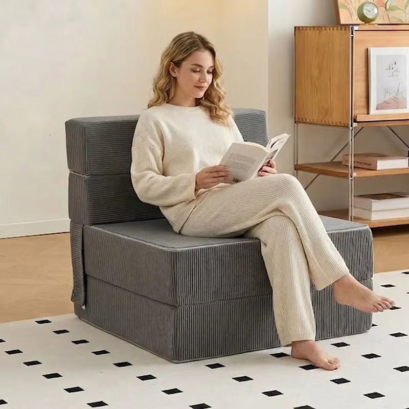 Sofá Cama Plegable Resistente  - High Tech Office Room reseña y precio